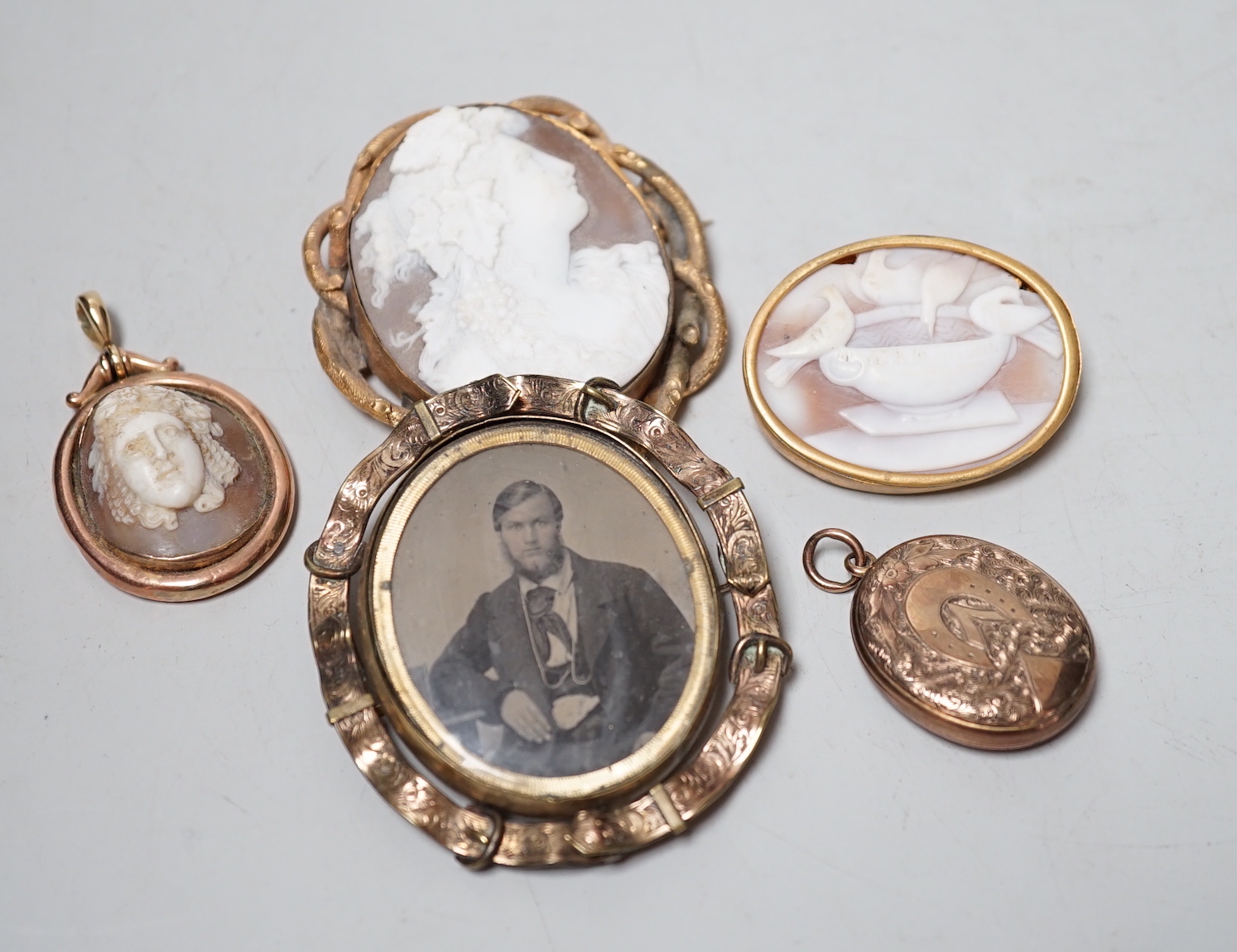 Three assorted gilt metal mounted cameo shell brooches, including bust and The Pliny Doves, largest 60mm, together with a locket and brooch with photograph of a gentleman.